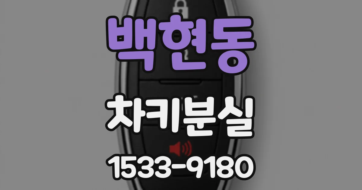 백현동 차키분실