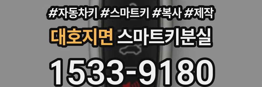 대호지면 스마트키분실