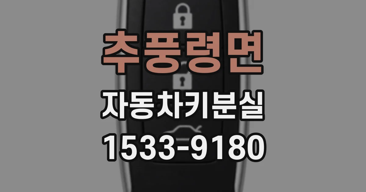 추풍령면 자동차키분실