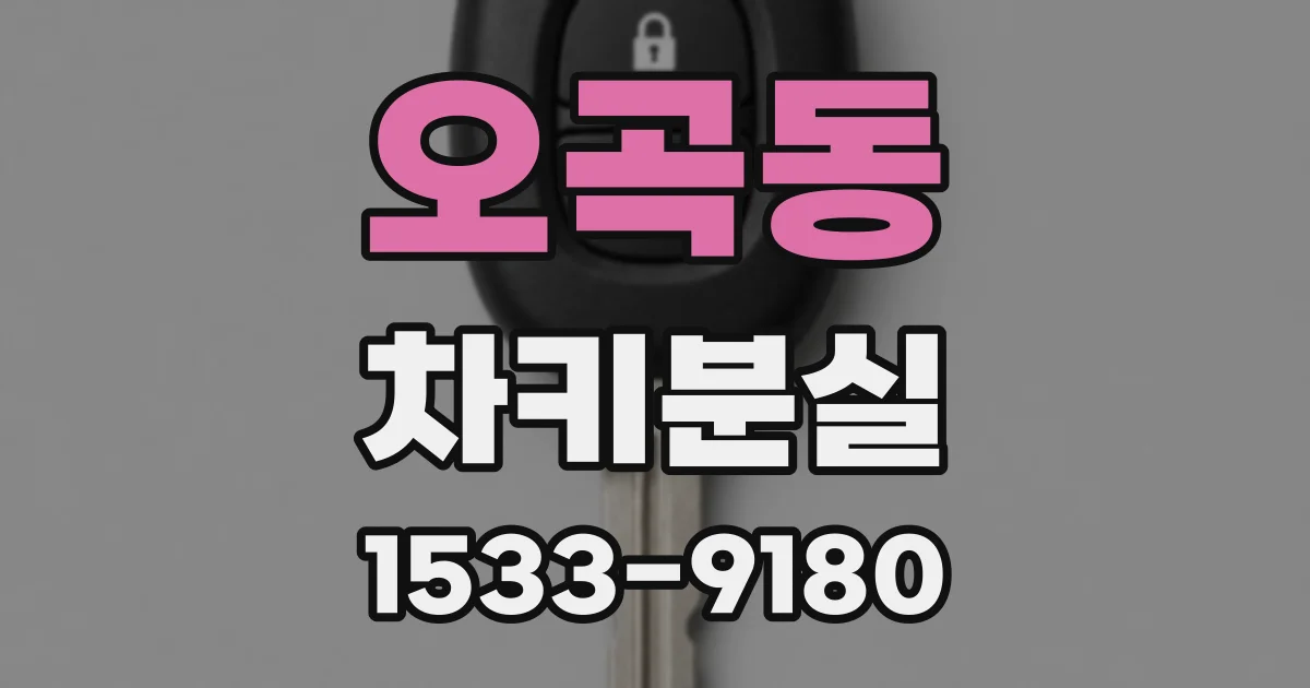 오곡동 차키분실