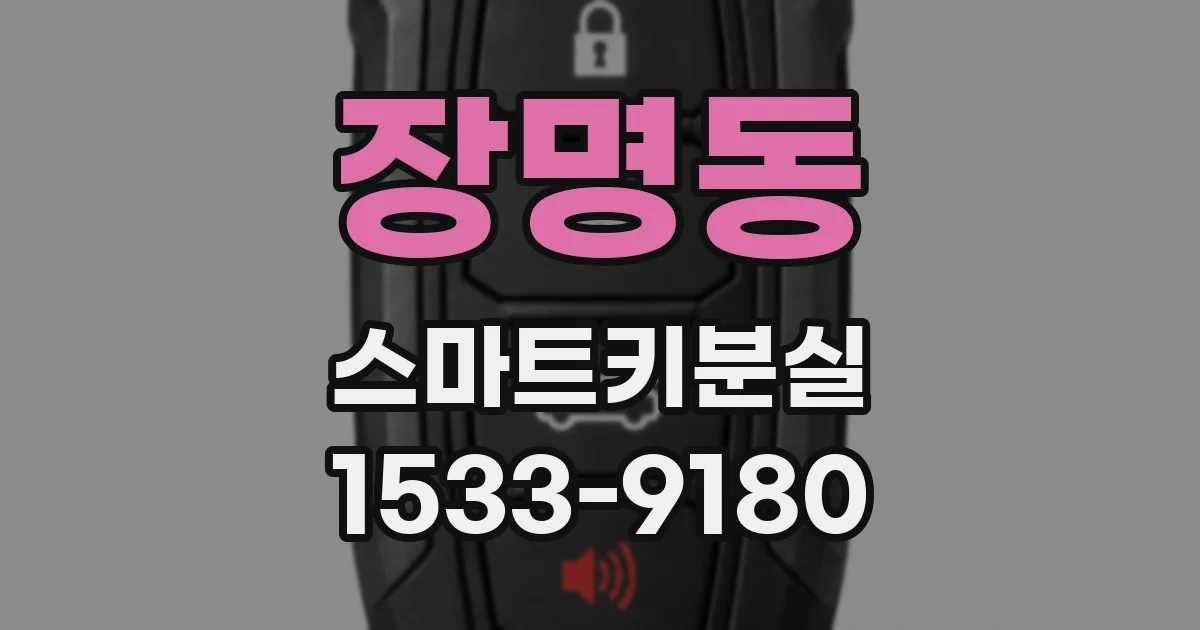 장명동 스마트키분실