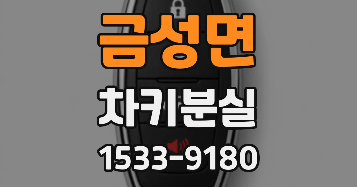 금성면 차키분실