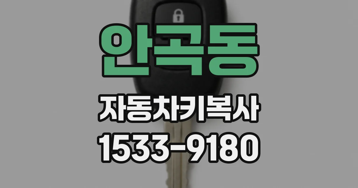 안곡동 자동차키복사