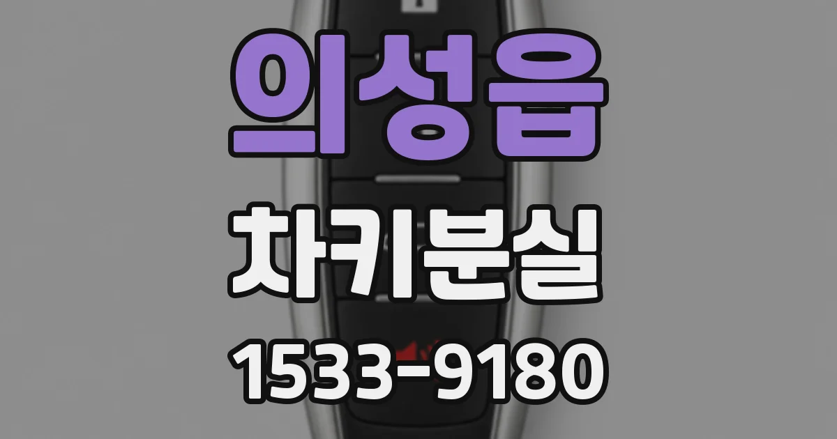 의성읍 차키분실
