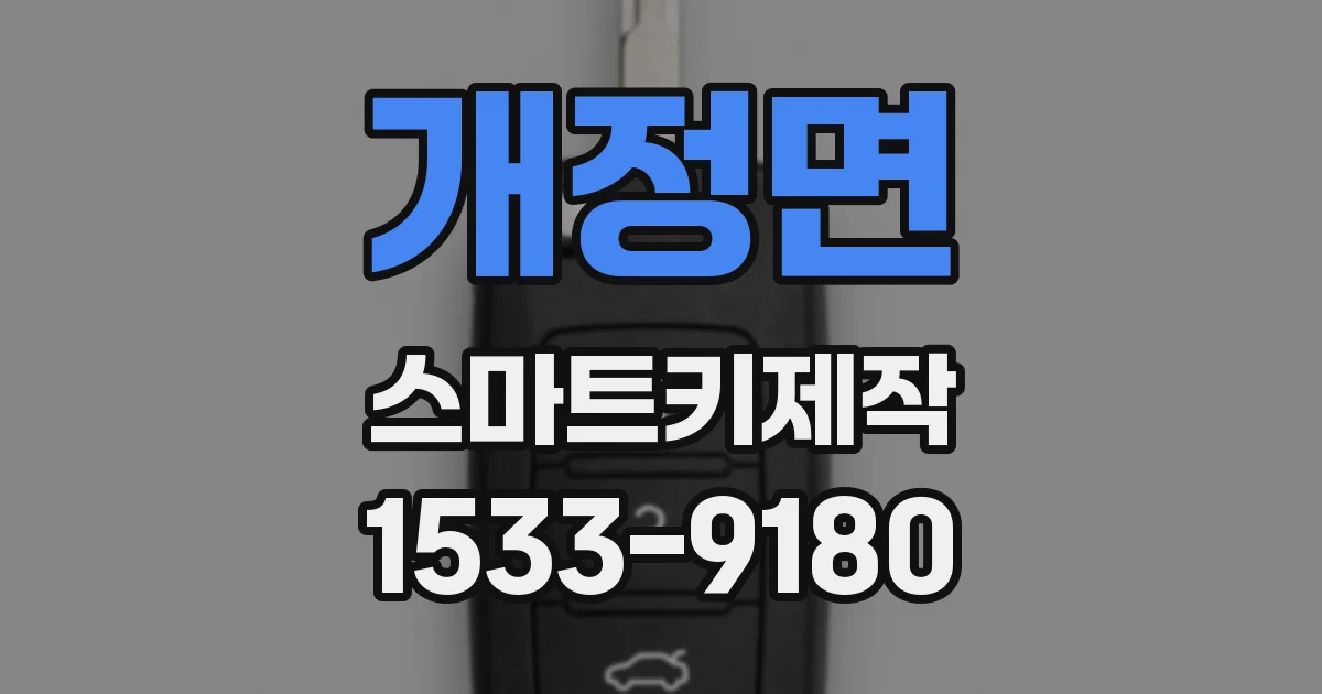 개정면 스마트키제작