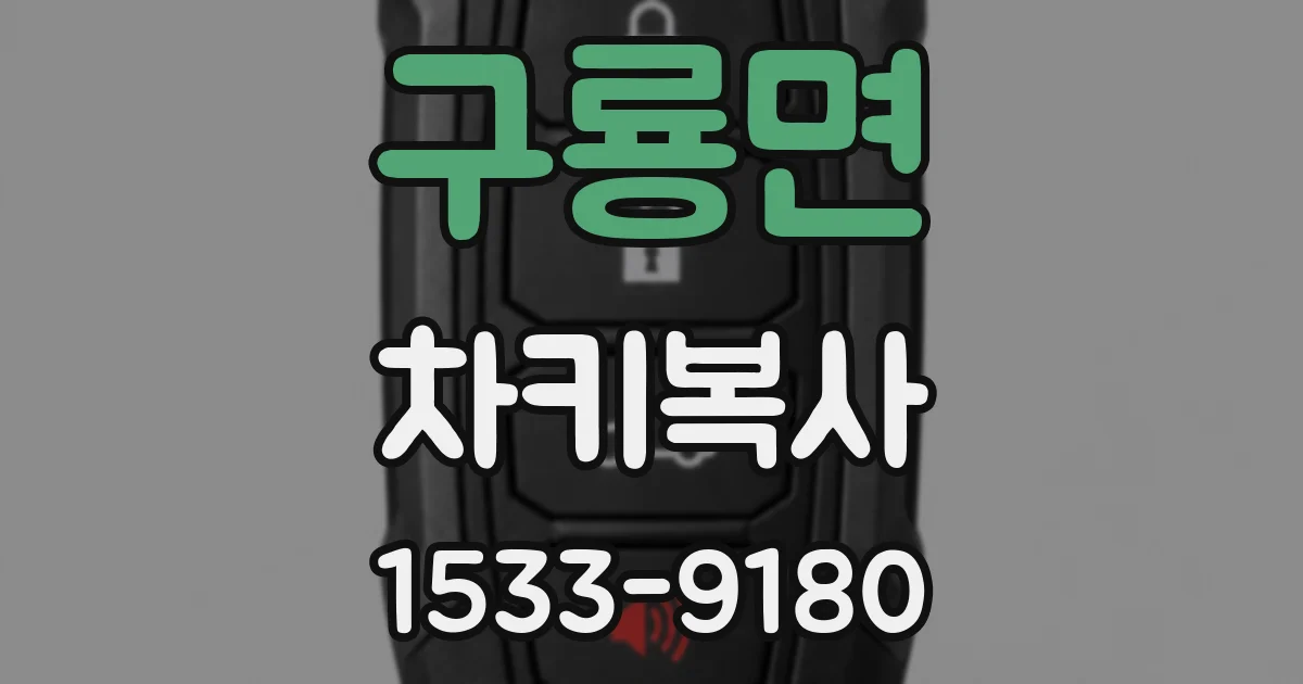 구룡면 차키복사