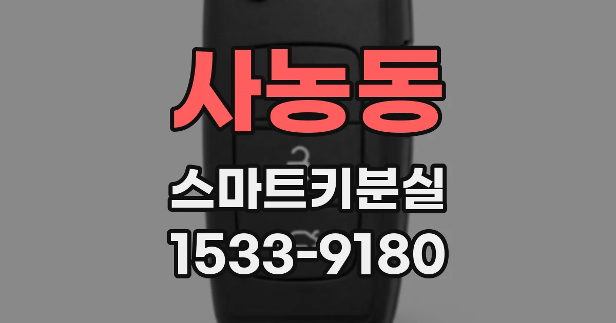 사농동 스마트키분실