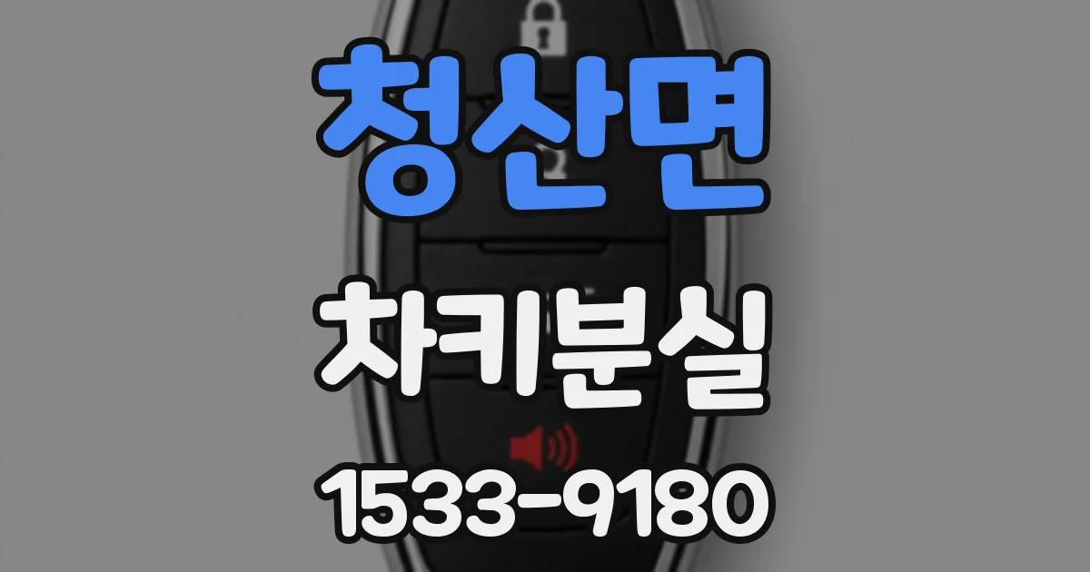 청산면 차키분실