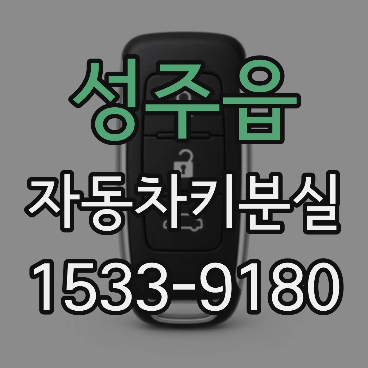 성주읍 자동차키분실