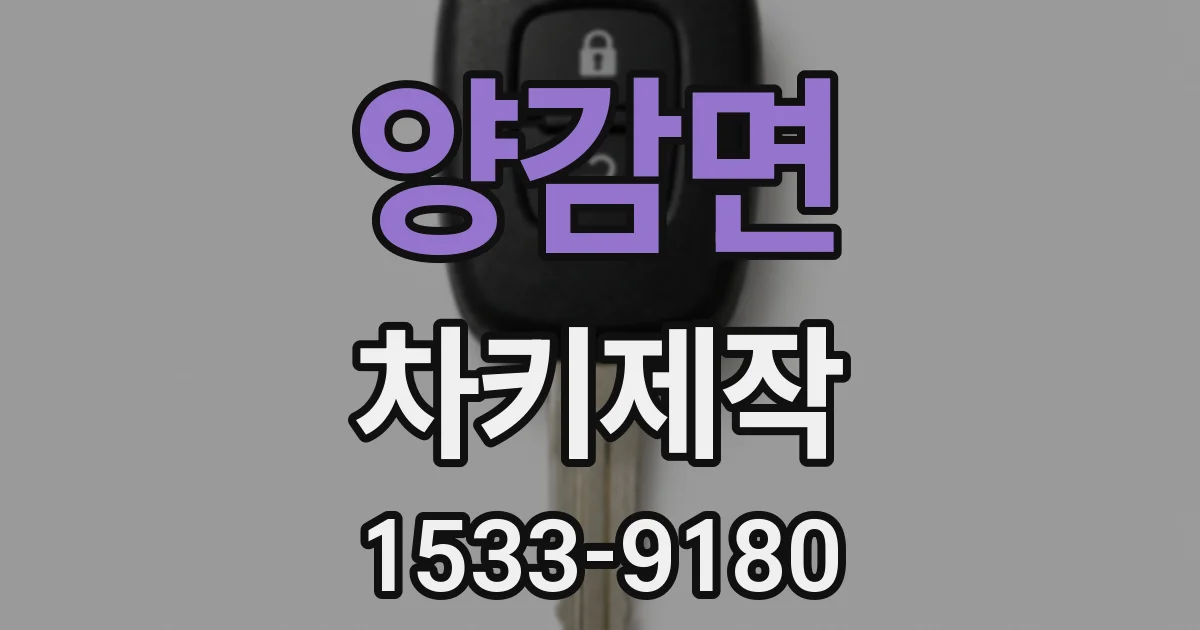 양감면 차키제작