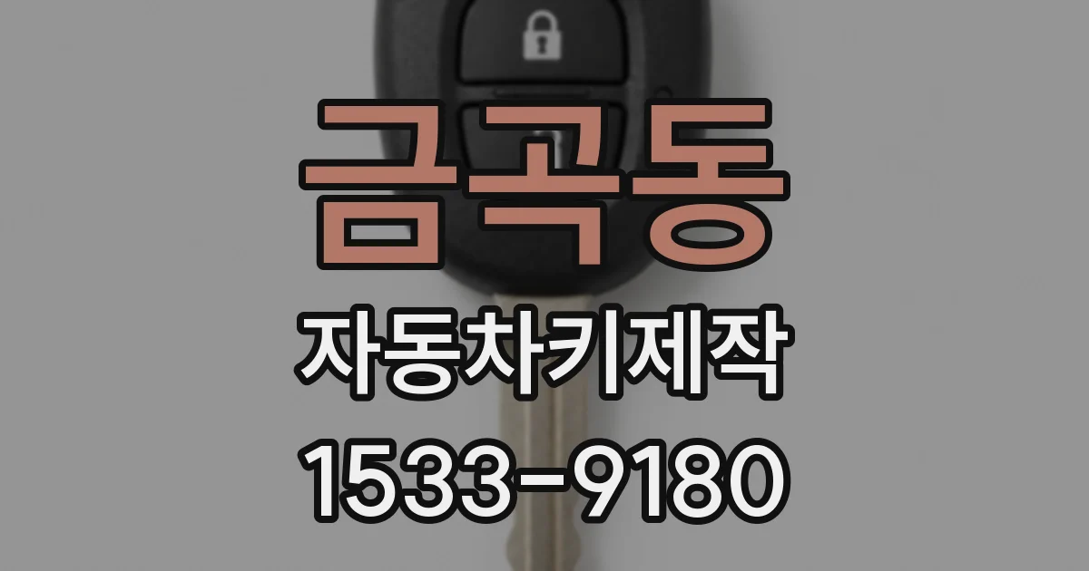 금곡동 자동차키제작