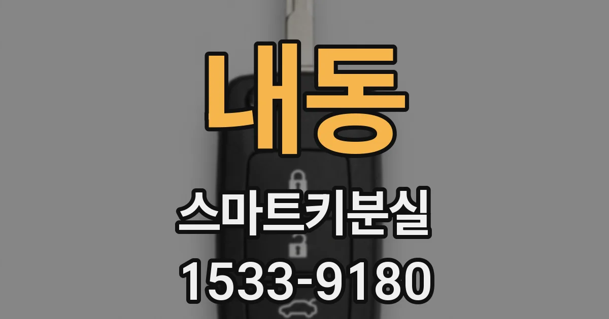 내동 스마트키분실