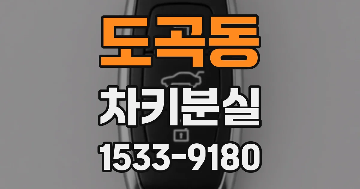 도곡동 차키분실