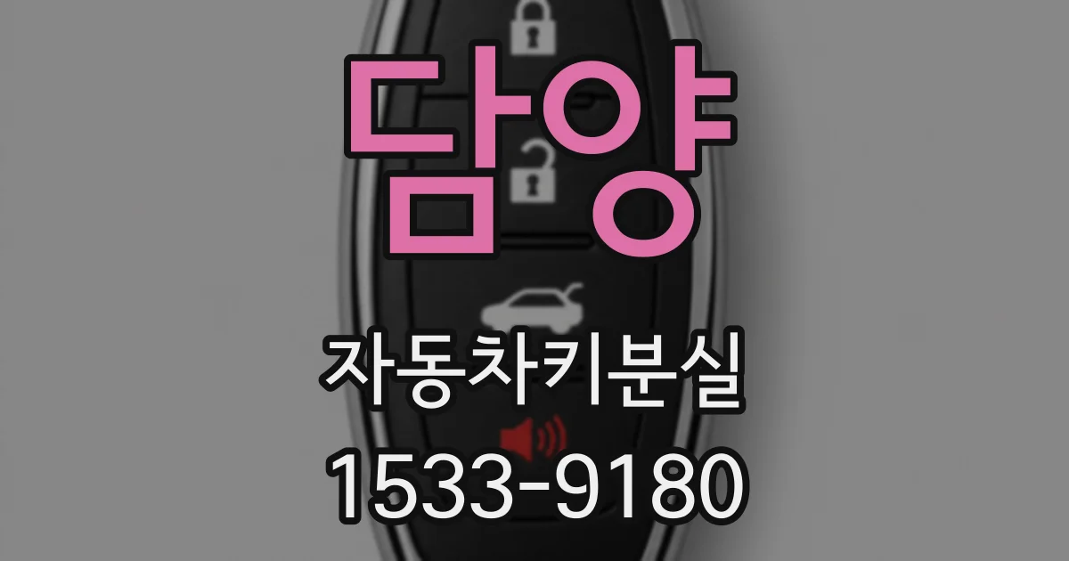담양 자동차키분실