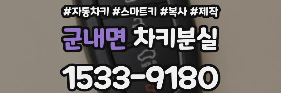 군내면 차키분실