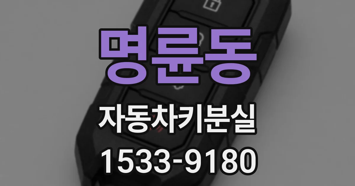명륜동 자동차키분실