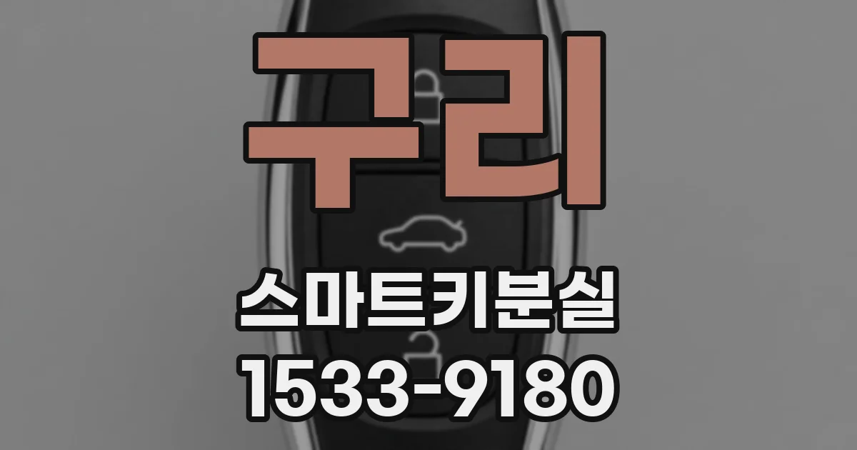 구리 스마트키분실