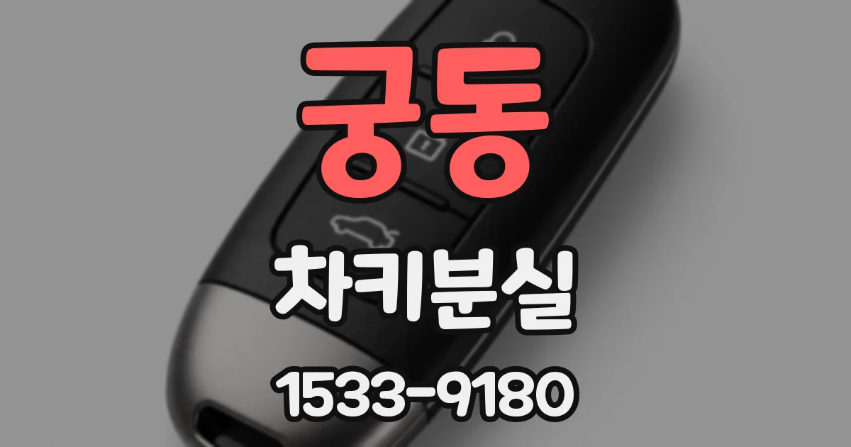 궁동 차키분실
