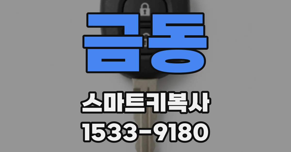 금동 스마트키복사