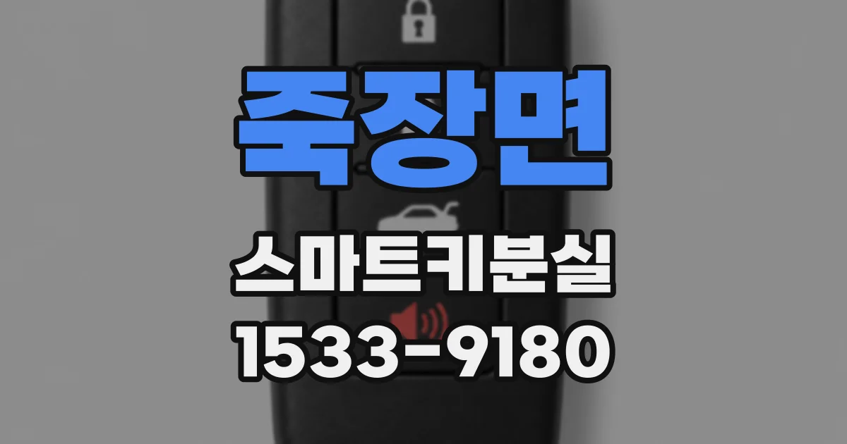 죽장면 스마트키분실
