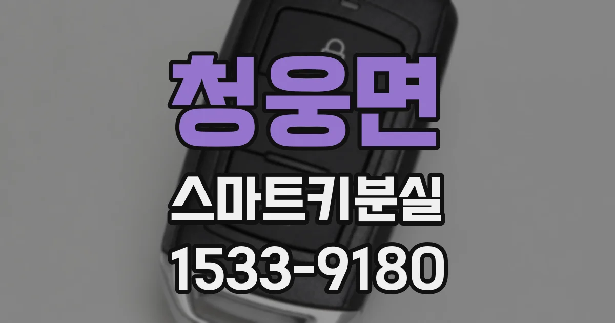 청웅면 스마트키분실