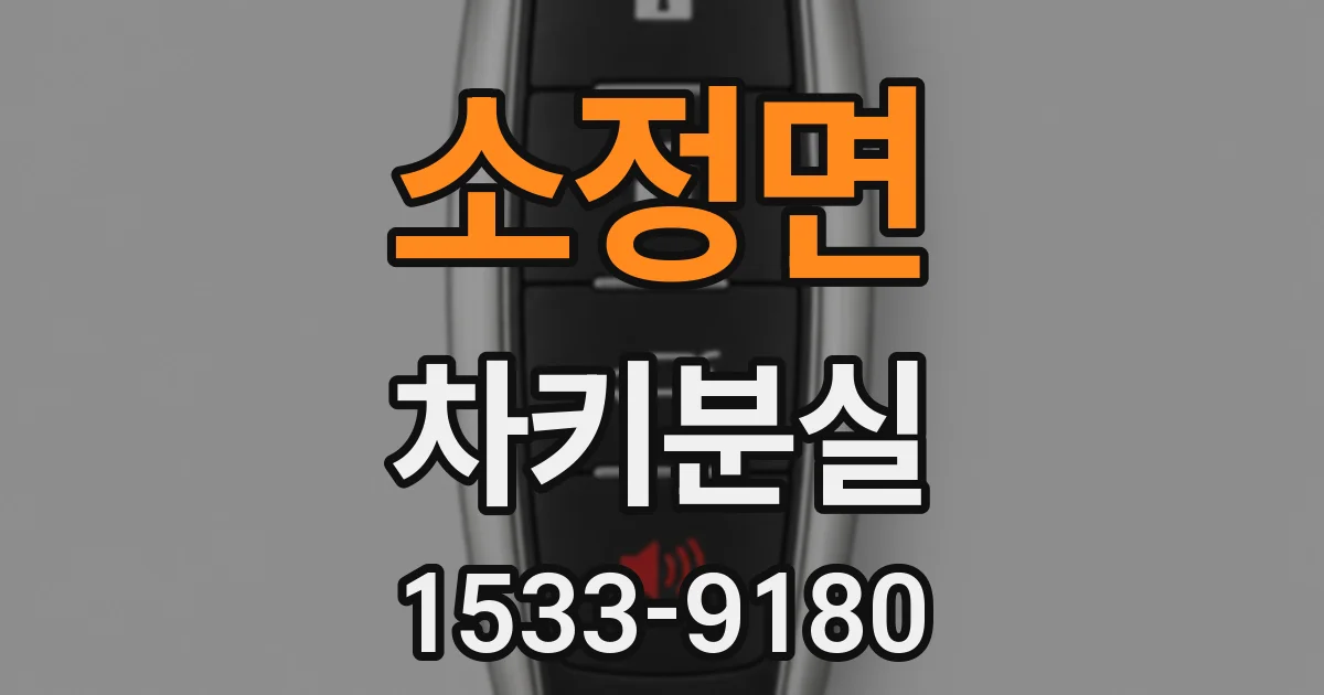 소정면 차키분실