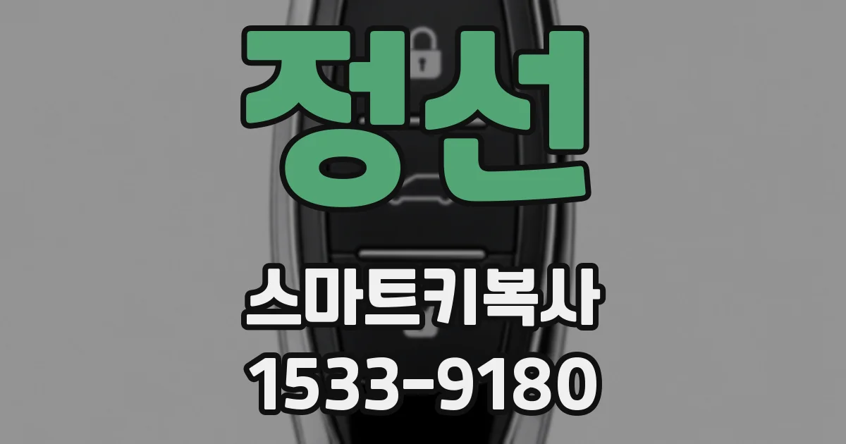 정선 스마트키복사