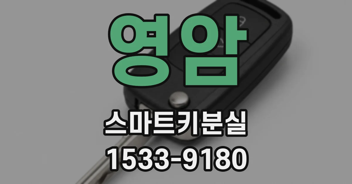 영암 스마트키분실