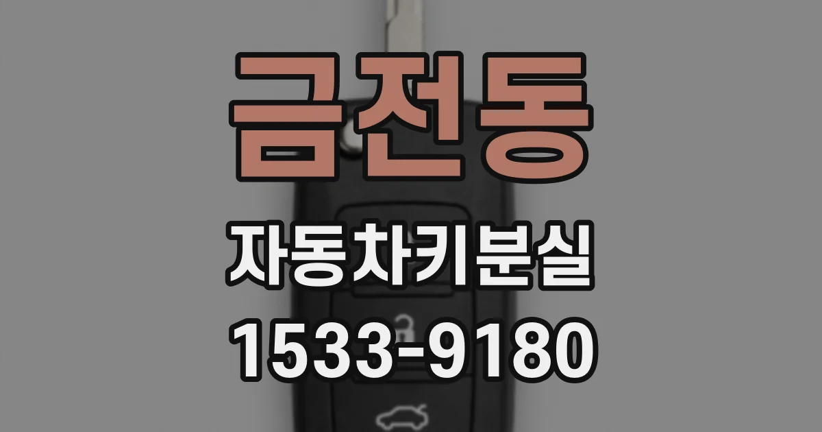 금전동 자동차키분실