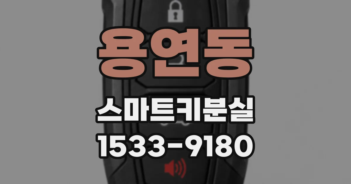 용연동 스마트키분실