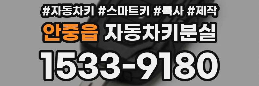 안중읍 자동차키분실