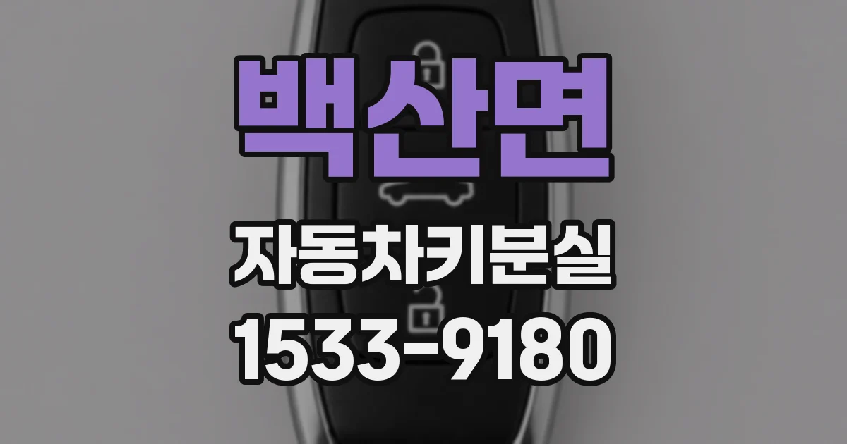 백산면 자동차키분실