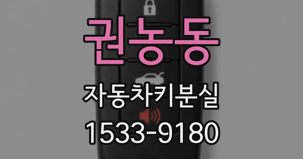 권농동 자동차키분실
