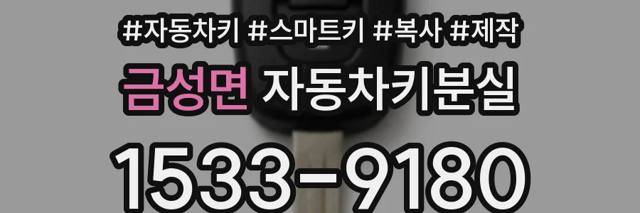 금성면 자동차키분실