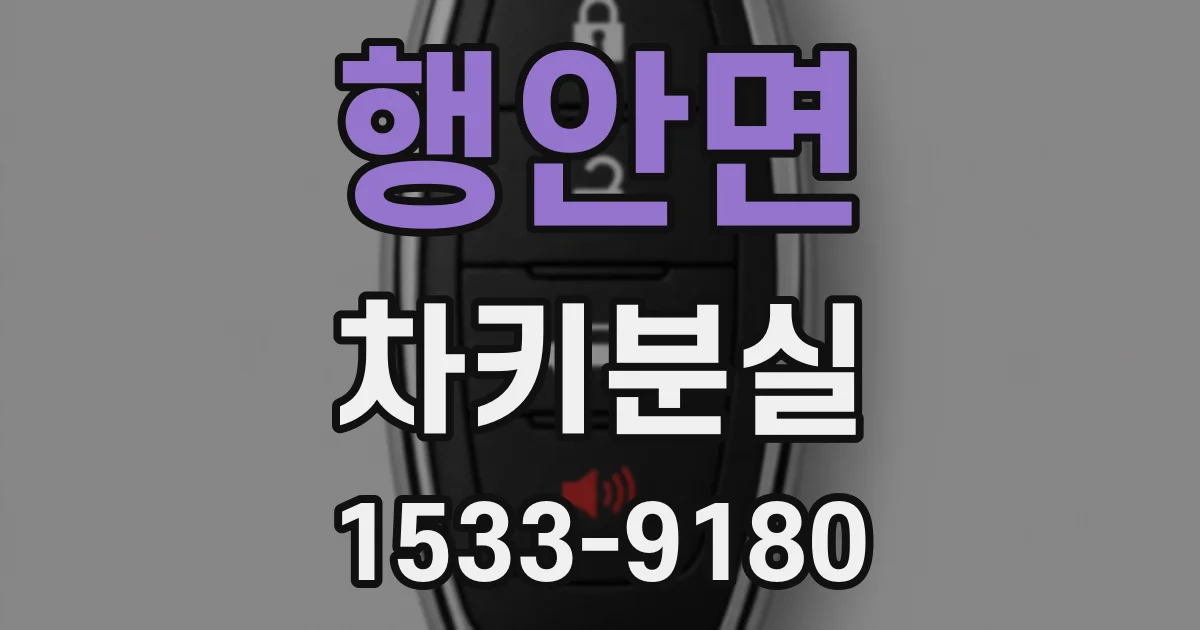 행안면 차키분실
