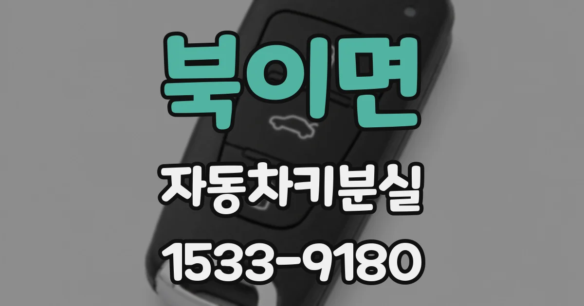 북이면 자동차키분실