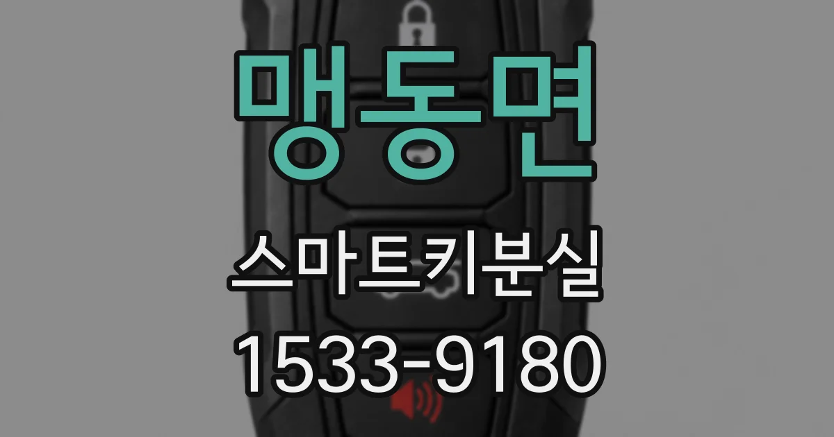 맹동면 스마트키분실