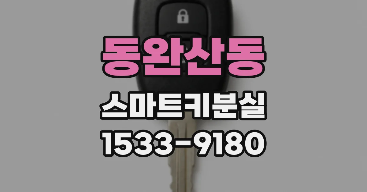 동완산동 스마트키분실