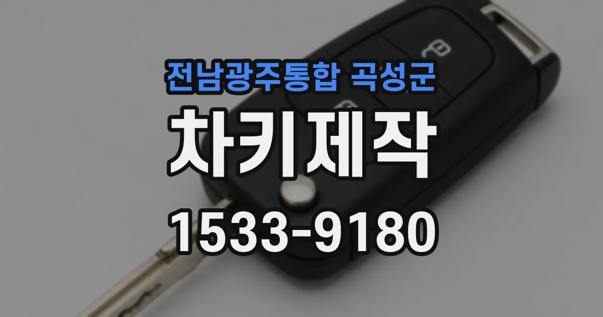 전남광주통합 곡성군 차키제작