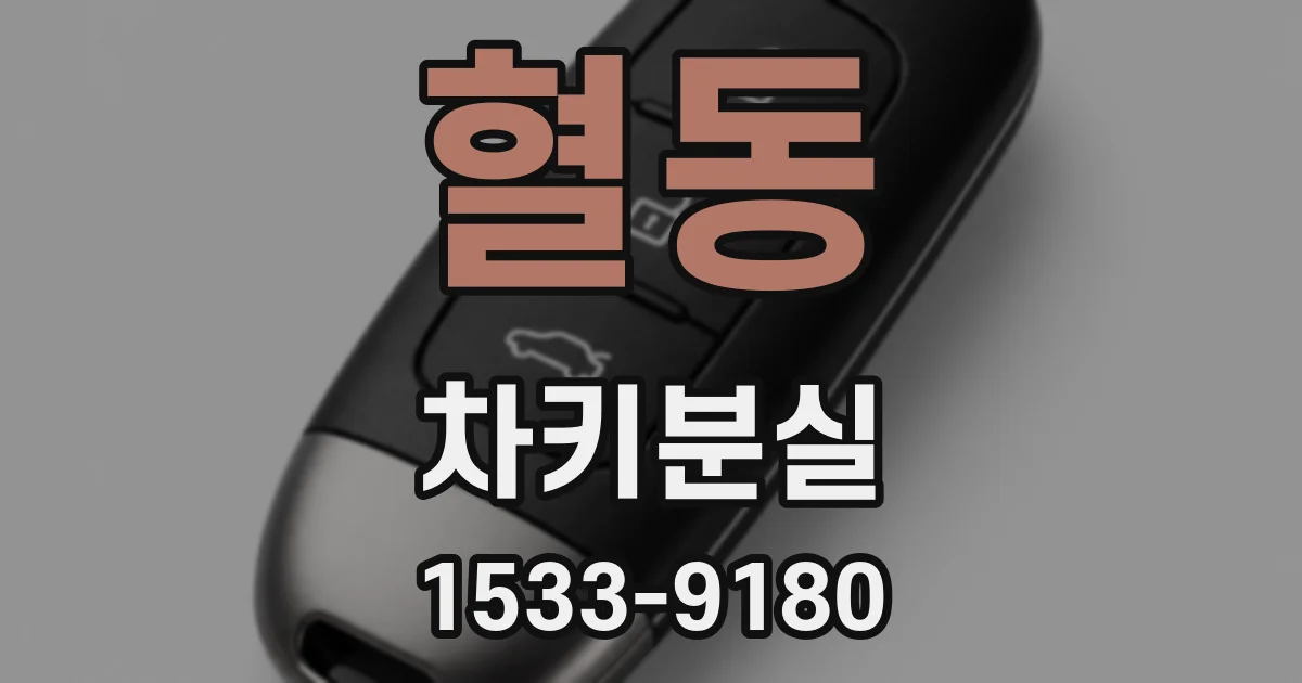 혈동 차키분실