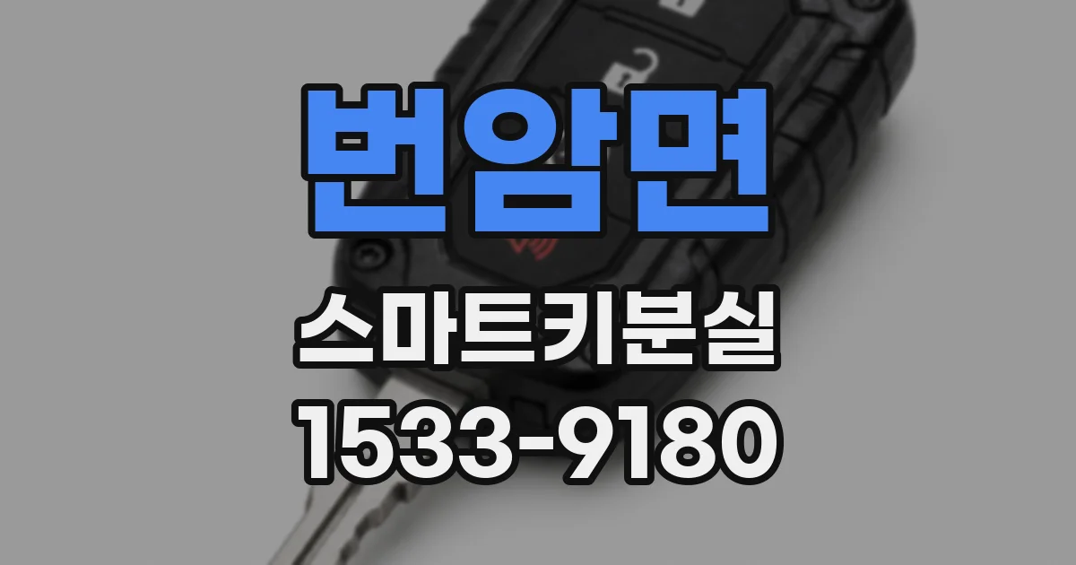 번암면 스마트키분실