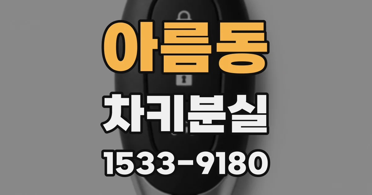 아름동 차키분실