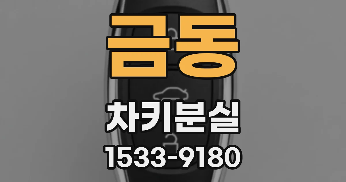 금동 차키분실