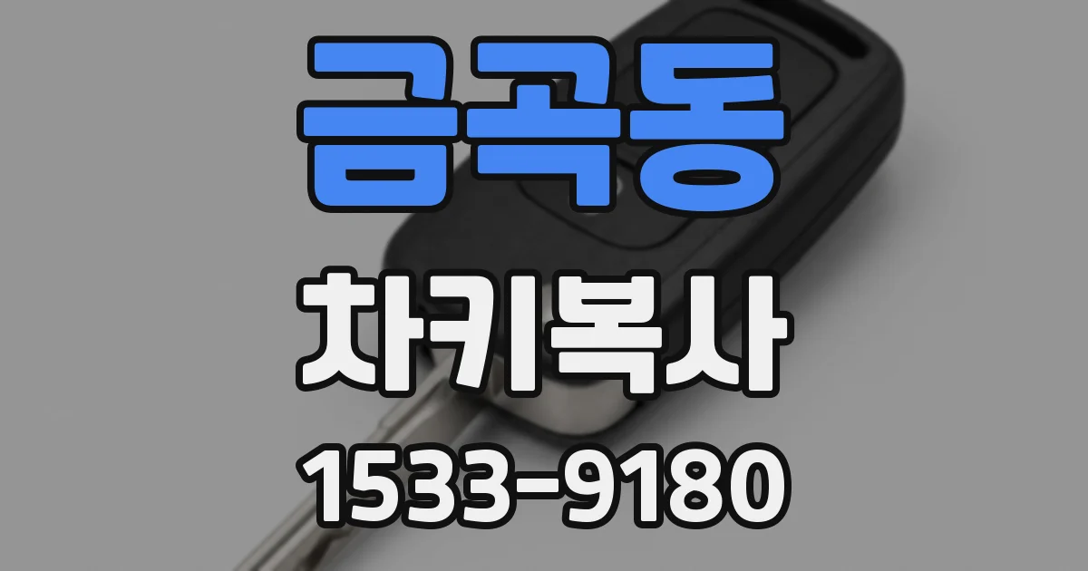 금곡동 차키복사