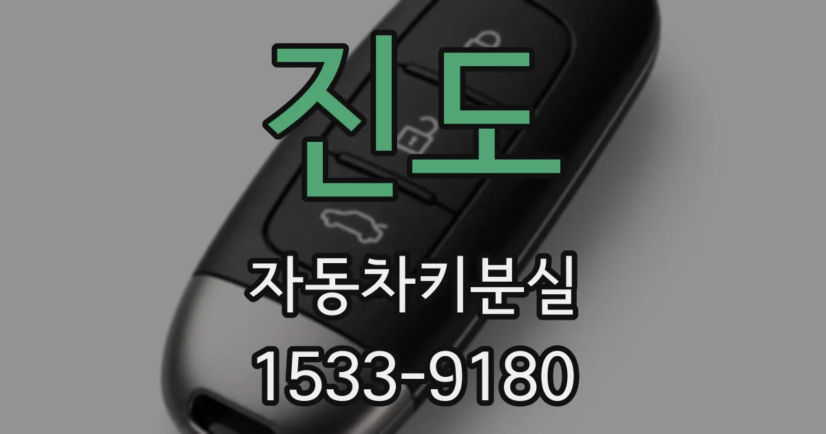 진도 자동차키분실