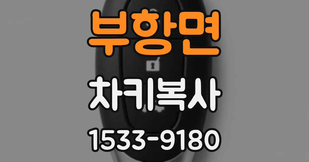 부항면 차키복사