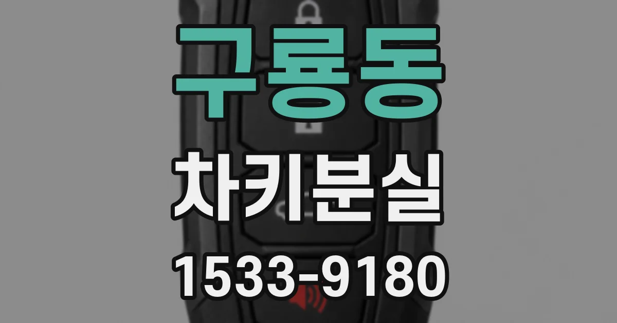 구룡동 차키분실