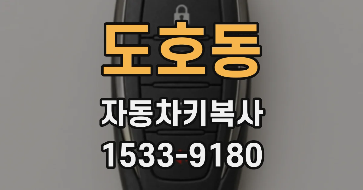 도호동 자동차키복사