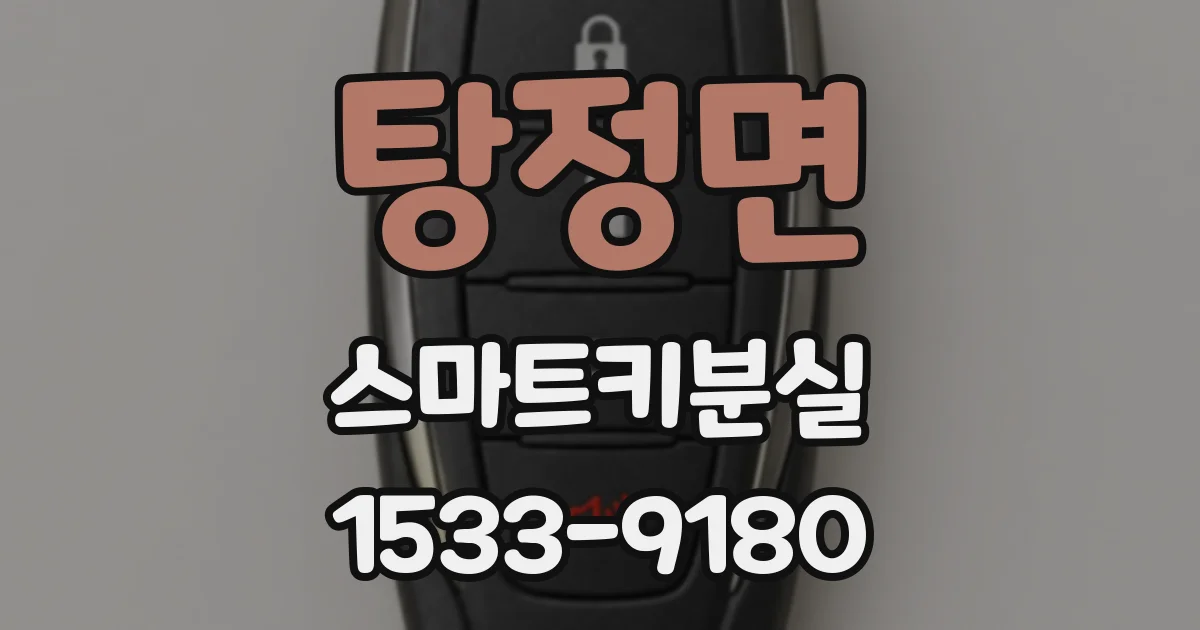 탕정면 스마트키분실
