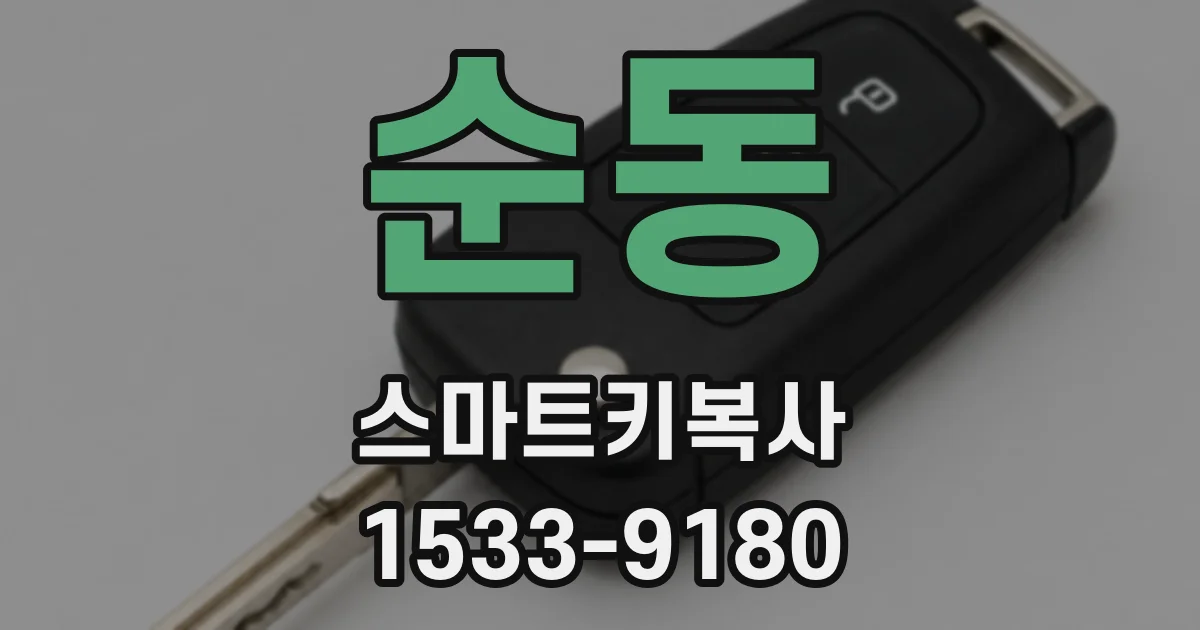 순동 스마트키복사